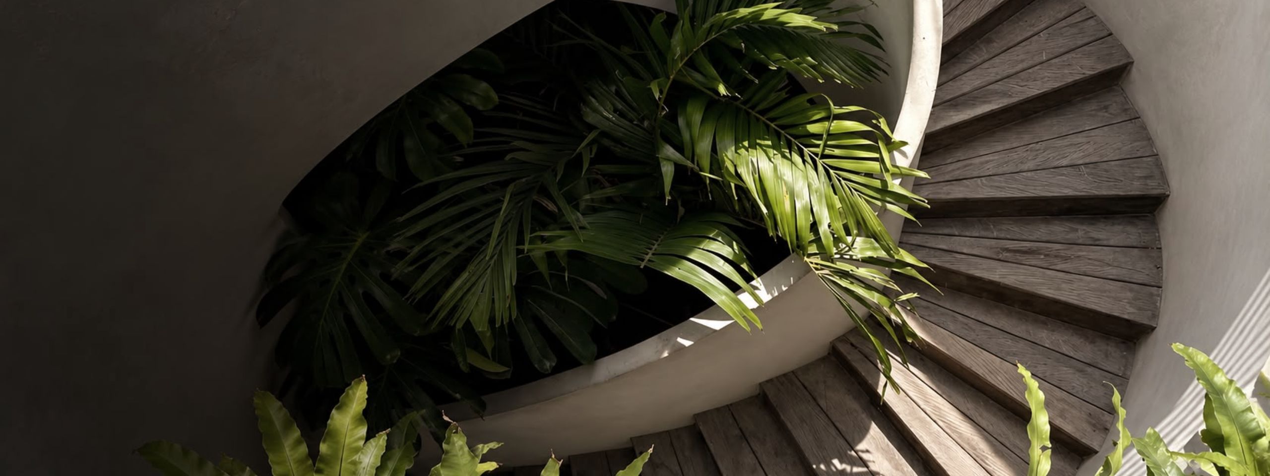 Spiral staircase and tropical planting seen from above