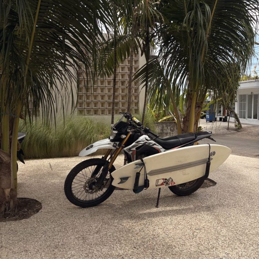A trail bike parked under palms with a surfboard strapped to its side rack