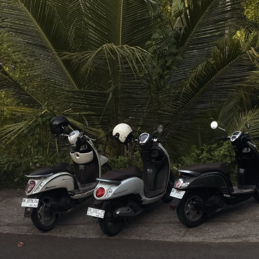Three scooters parked under palms, helmets resting on the mirrors